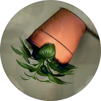 img_3.png